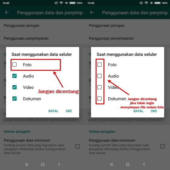 Cara Agar Foto WhatsApp Tidak Otomatis Tersimpan Di Galeri IPhone