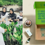 Terungkap Strategi Marketing The Body Shop Terpecaya