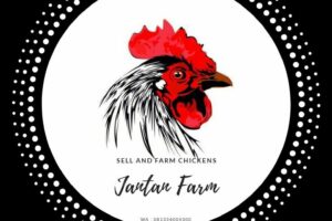 Terbongkar! Cara Membuat Logo Farm Ayam Terpecaya